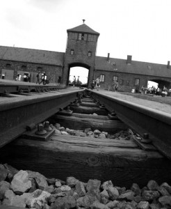 windows of auschwitz